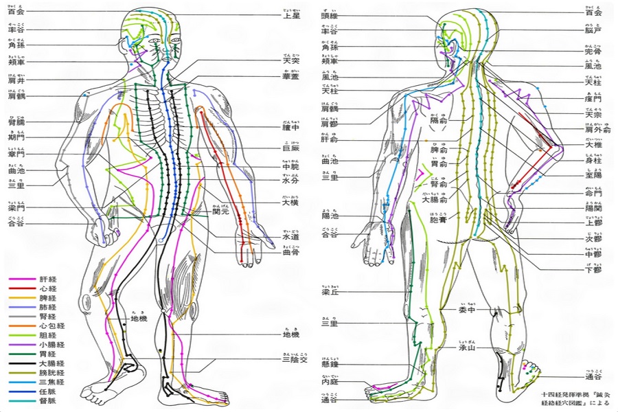 各ツボの名称とどの機関に効くかを説明する図表